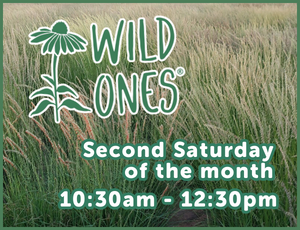 Program placeholder thumbnail, green and white text "Wild Ones. Second Saturday of the Month. 10:30am-12:30pm" with image of grassy meadow as a background