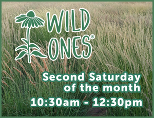 Wild Ones program image