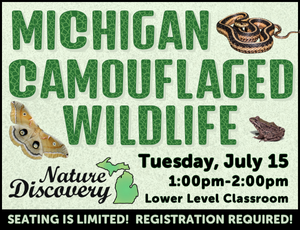 Image for Michigan Camouflaged Wildlife program on July 15